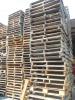 Foto de Maderer�a Zapotlan